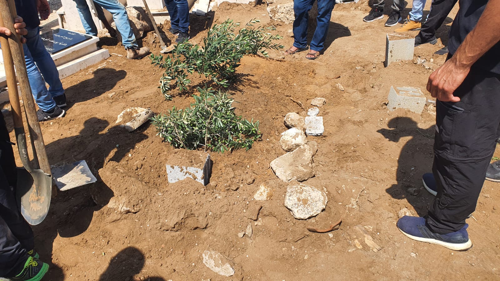 WhatsApp Image 2020-06-09 at 12.23.46 PM.jpeg.jpeg